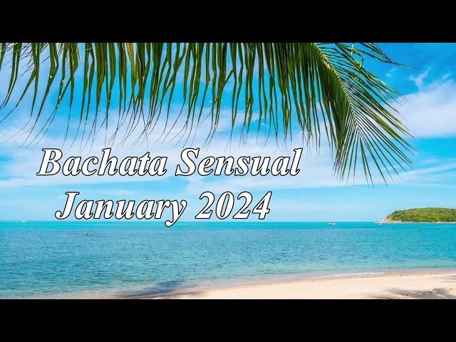 Bachata Sensual January 2024