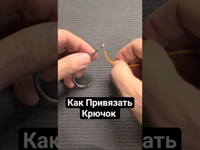 Как Привязать Крючок @Popular_Knots #популярныеузлы #рыбалка #узлы