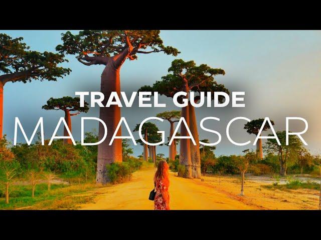 Africa Travel | Here's Why You MUST Visit Madagascar