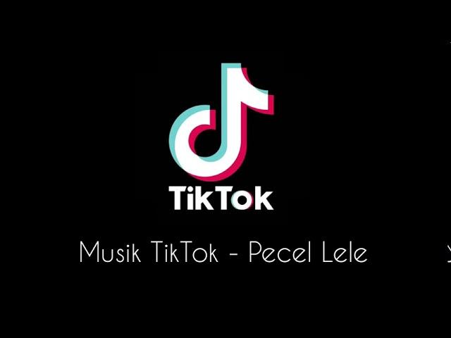 Lagu TikTok Pecel Lele Iwak Lele | TIKTOKERS PEMULA | TIKTOK VIRAL 2020