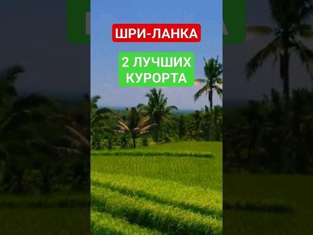 ШРИ-ЛАНКА 2024: ЛУЧШИЕ КУРОРТЫ ДЛЯ ОТДЫХА С ДЕТЬМИ: пляжи, цены #шриланка2024 #унаватуна #unawatunaа