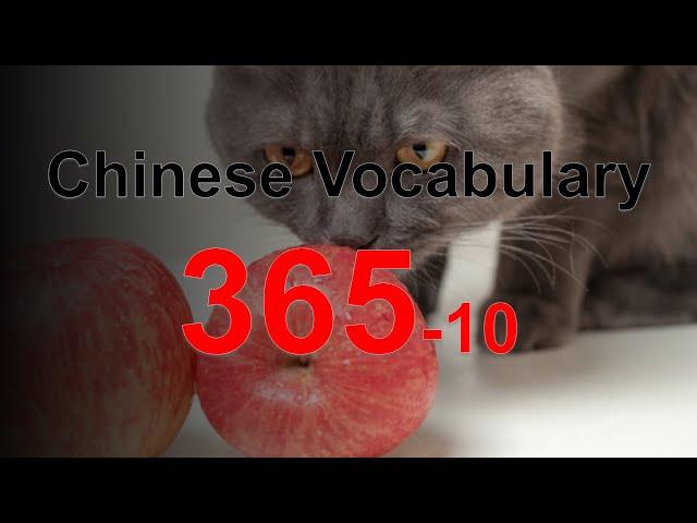 Chinese Vocabulary 365-10