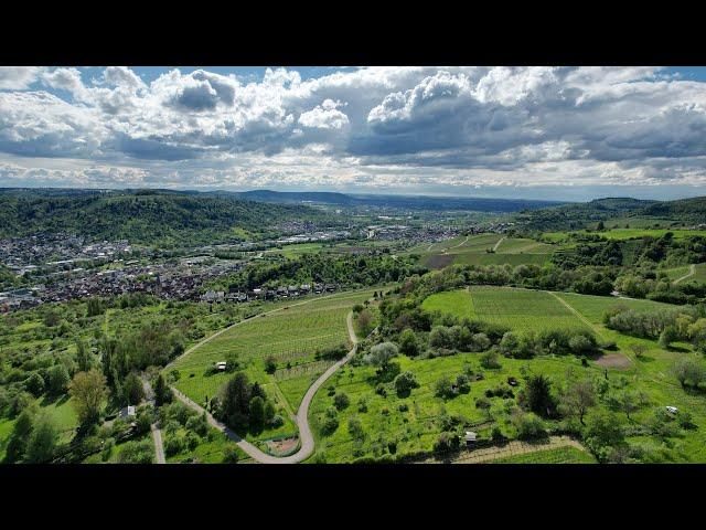 Remstal von Oben - Weinberge Remshalden-Rohrbronn