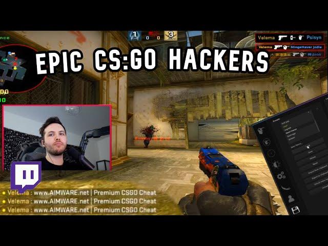 TWITCH STREAMER vs EPIC HACKERS?! (PsiSyn)