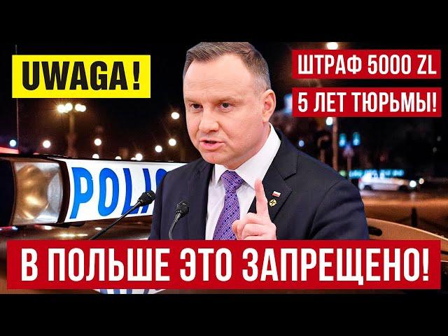 Штраф до 5000 злотых в Польше или 5 лет тюрьмы! Это надо знать украинцам!