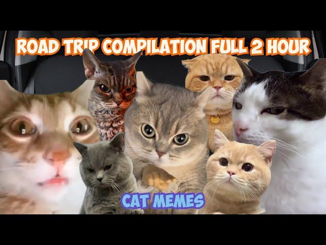 Cat MEMES Road Trip COMPILATION Full 2 Hour