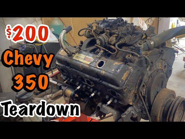 Budget Small Block Chevy 350 Engine Pull and Teardown! (The Bankrupt 350 Build)