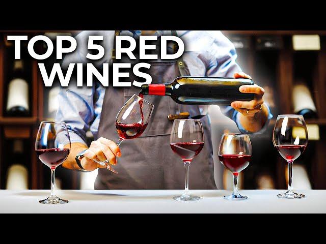 The Best Red Wines for Beginners