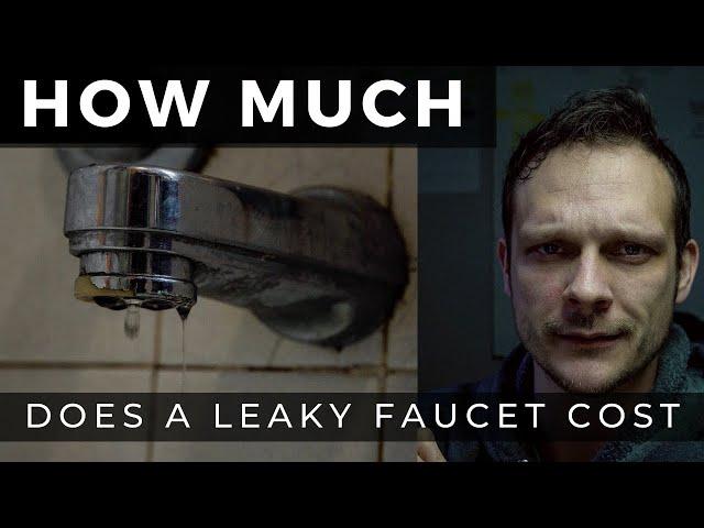 How Much is a Leaky Tub Faucet Costing You?