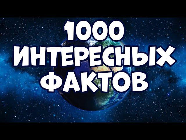 1000 INTERESTING FACTS ABOUT EVERYTHING