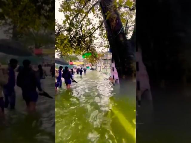 Nainital#Lake#heavy#Rainfall#Himanipandeyhaldwani#shortvideo