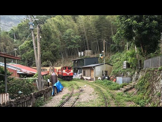 【Alishan Forest Railway】Main Line Train Cab Ride Part 2 (Zhangnaoliao to Shizilu)｜林鐵本線路程景(樟腦寮-十字路)