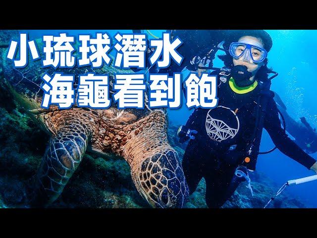 在小琉球潛水，海龜看到飽｜水肺潛水｜林宣 Xuan Lin