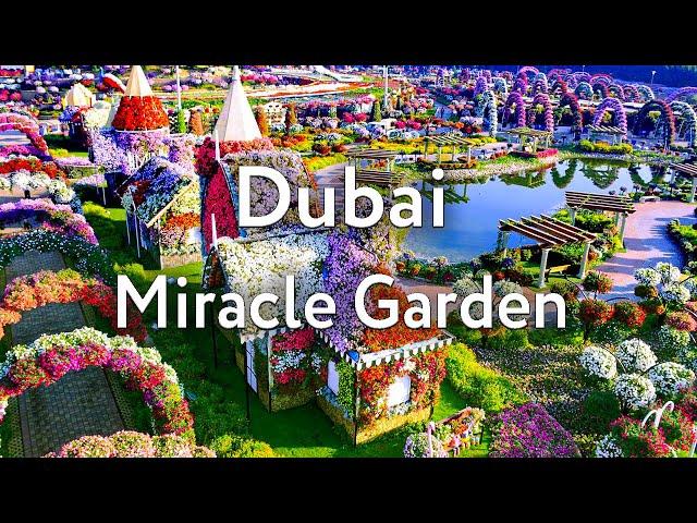 Парк цветов в Дубае | Dubai Miracle Garden | Сад Чудес | Дубай 2023