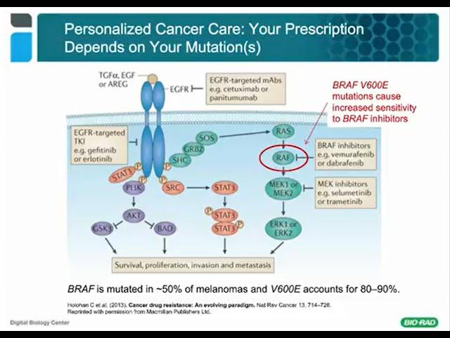 Precision Molecular Profiling of Cancer Using Droplet Digital™ PCR