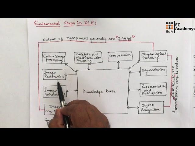 DIP#3 Fundamental steps in Digital image processing || EC Academy