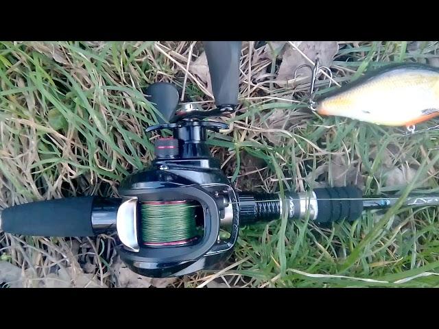 DESTROYER -X CASTING JERKBAIT  And Mizu Craft jerk