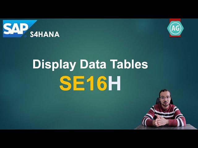 Advanced SAP Data Tables Display with SE16H: Demo and Advanced Tips