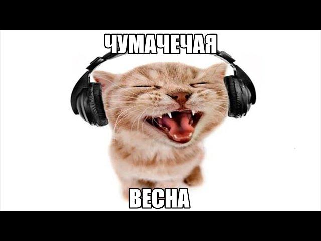 чумачечая весна