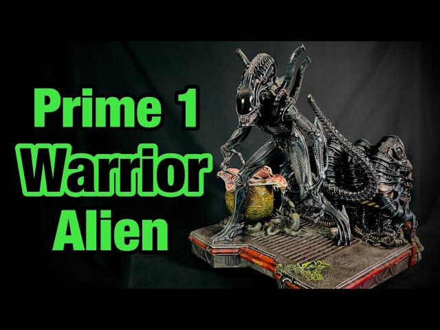 Prime 1 Studio: Aliens 1:3 Xenomorph Warrior Alien (Comics) Maquette Statue Review