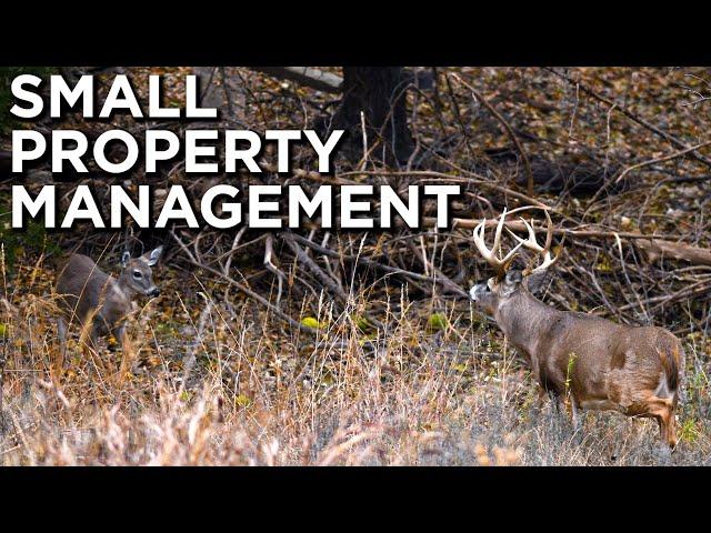 Bedding Or Food?? | FIRST Step On A SMALL Property!!