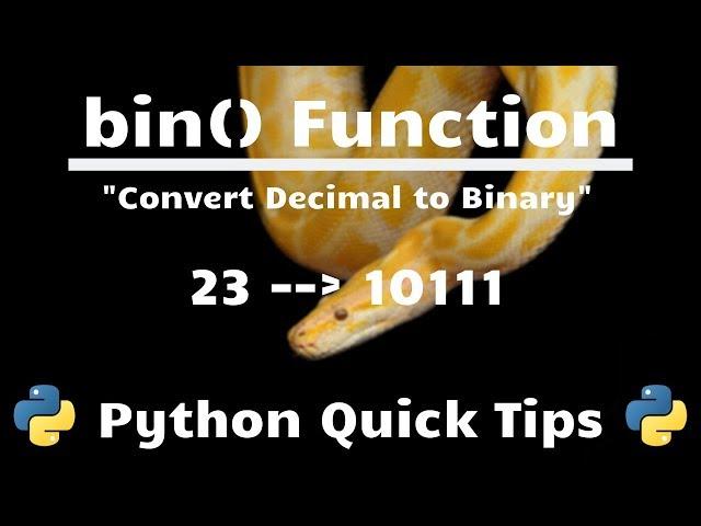 How to Convert Number to Binary In Python (bin() Function) - Python Quick Tips