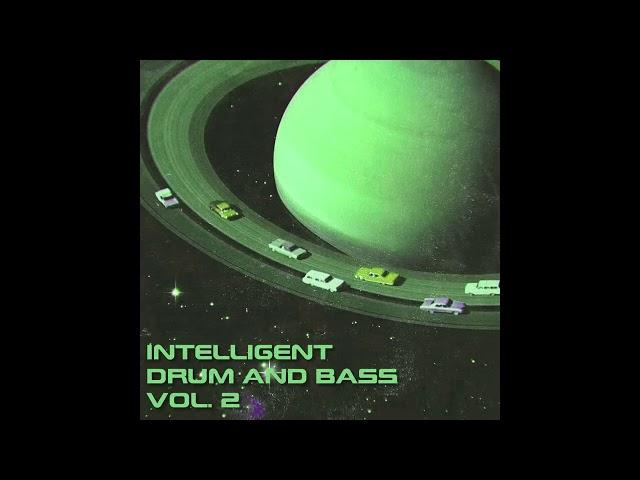 Intelligent DnB Vol .2