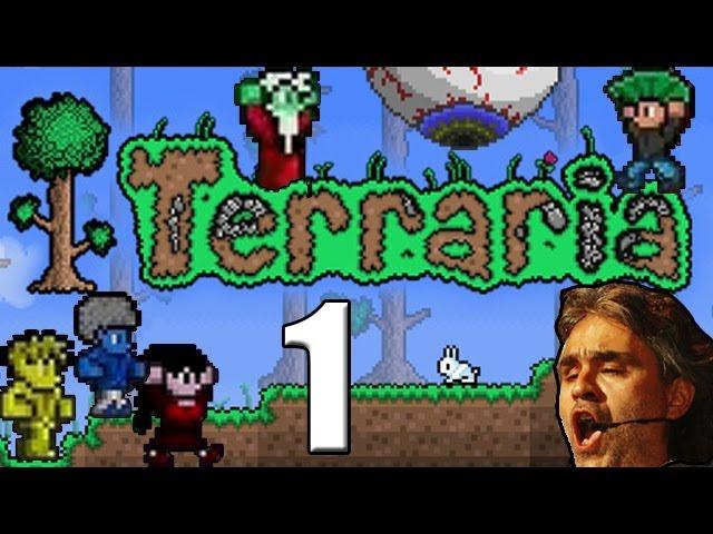 Terraria!   Ep1  Occhio all'occhio!