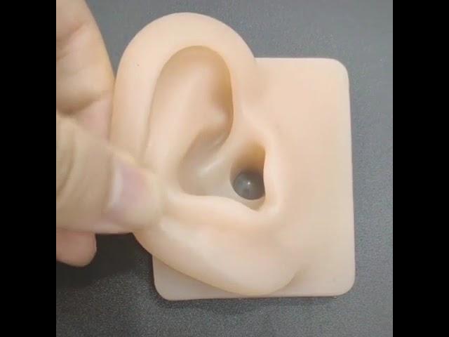 hongye Human body silicone ears are soft and elastic