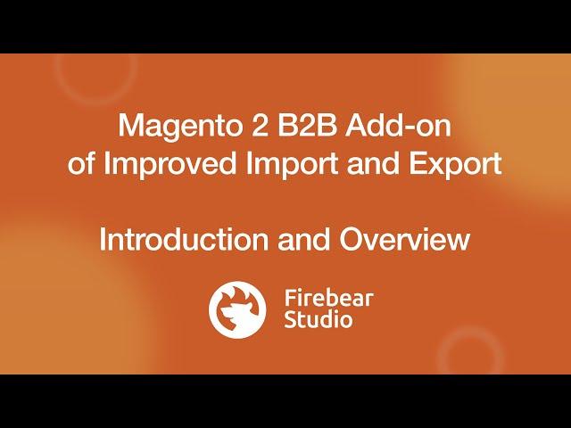 B2B Add-on of Magento 2 Improved Import & Export extension - Overview 2021