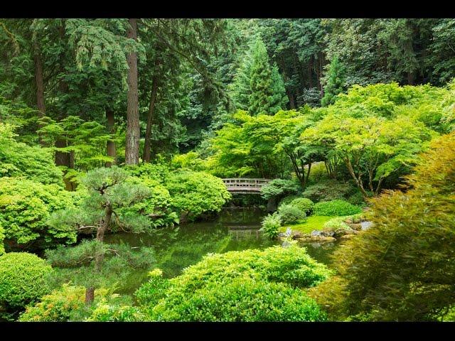 Relaxation Visualization Zen Garden Talk Down: Sleep & Stress Relief