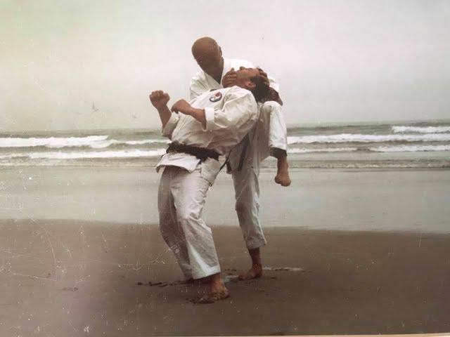 Wado Ryu Karate Techniques