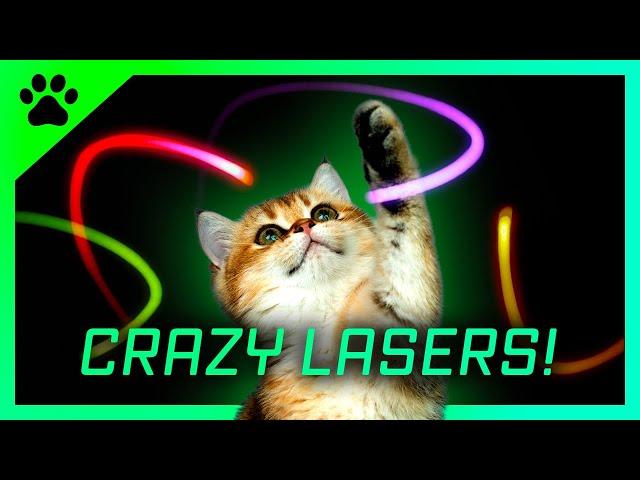 Cat games Crazy LASERS ! A fun video for cats to watch