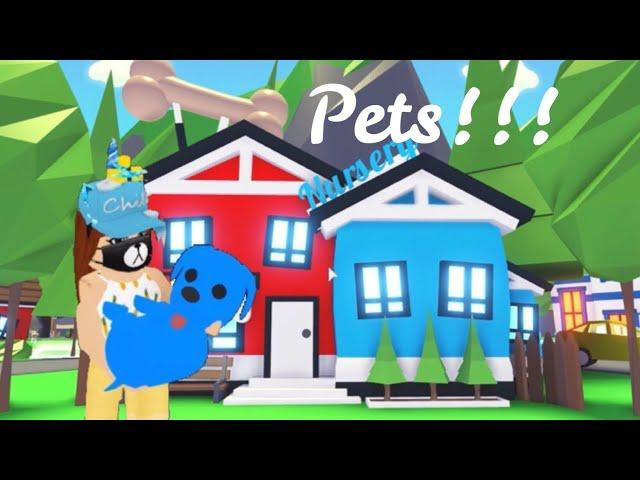 PETS UPDATE IS HERE (Roblox Adopt me) new nursery, new map, hatching eggs | Its SugarCoffee