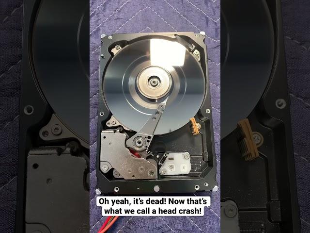 Ever wanted to see inside a HDD with a crashed head? Here you go!