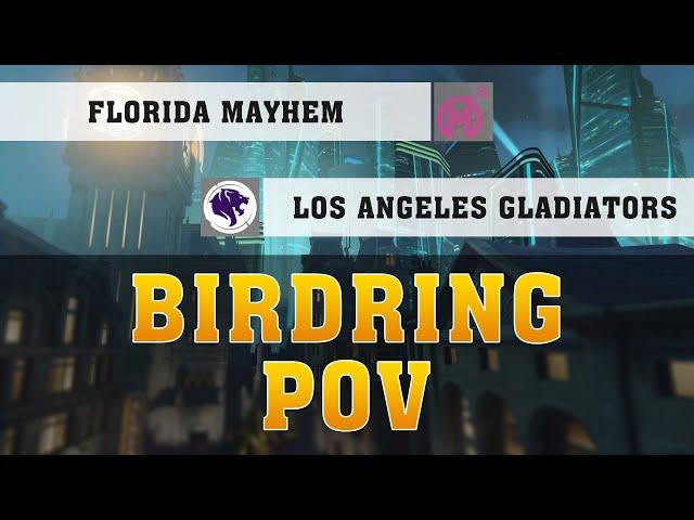 BIRDRING ASHE POV ● Florida Mayhem Vs Los Angeles Gladiators  ● Week 29 ● OWL POV