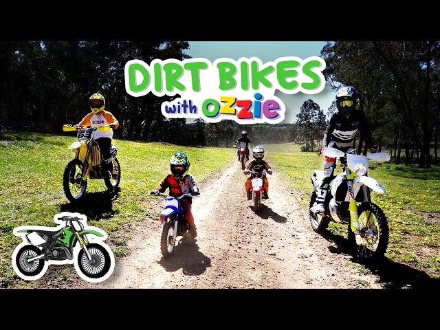 Learn About Motorcycles for Kids | Ozzie Explores Dirt Bikes | Educational Video for Kids