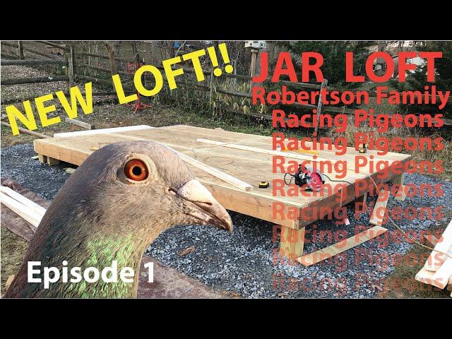 MD Racing Pigeon Loft Build episode 1: how to build to homing pigeon loft