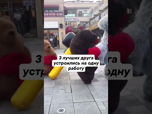 Три лучших  друга