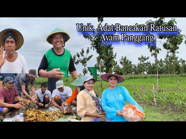 Antara Adat, Tradisi& Guyup Rukun Sedulur Sikep Samin Blora Ternyata Seperti Ini Kehidupannya Part 2