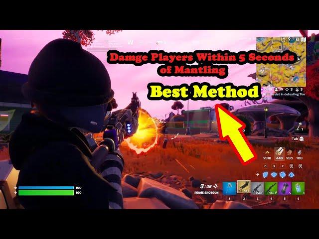 Damage players within 5 seconds of mantling Fortnite Challenges