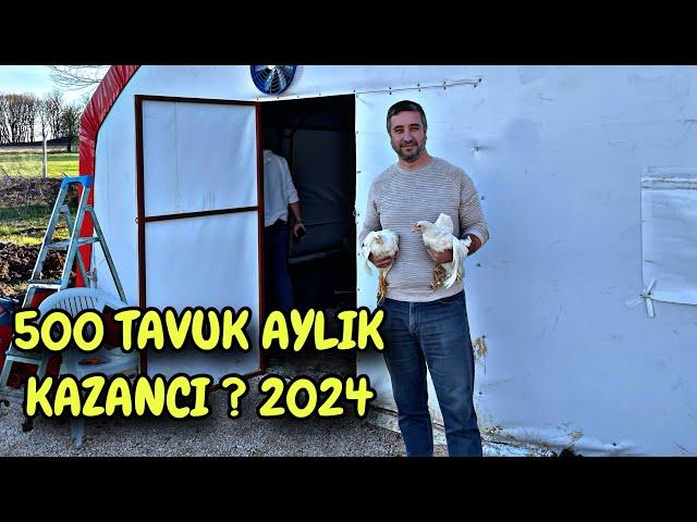 500 TAVUK AYDA KAÇ PARA KAZANDIRIR ? 2024 TAVUK VE ÇADIR FİYATLARI