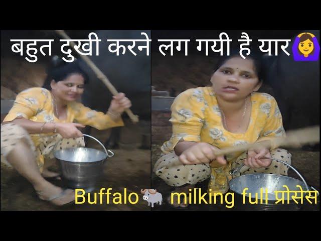 Buffalo milking nd prepare by dedi women #anjanasharma#cowbuffalomilking#viralvideo #dailyroutine