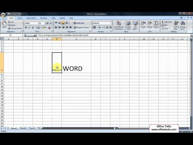 How to make all text visible in the cell by showing the text on multiple lines? | Excel 2007