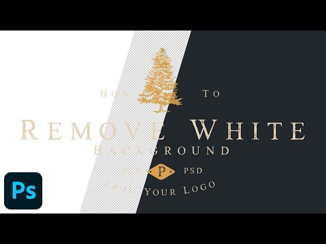 How to Remove a White Background from Your Logo