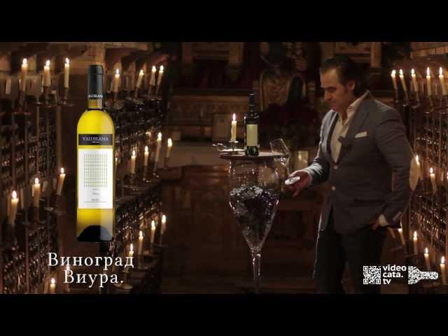 Дегустация Вина VALDELANA Seleccion Viura DOC Rioja