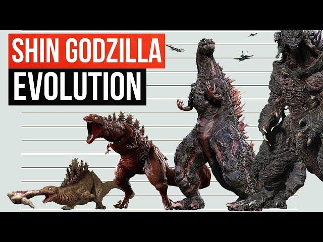 Evolution Of Shin Godzilla | Size Comparison