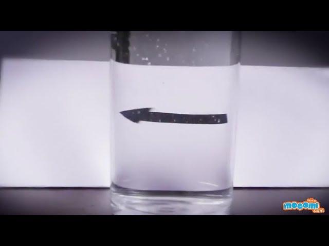 Refraction of Light in Water - Cool Science Experiment for Kids |  Kids Education by Mocomi