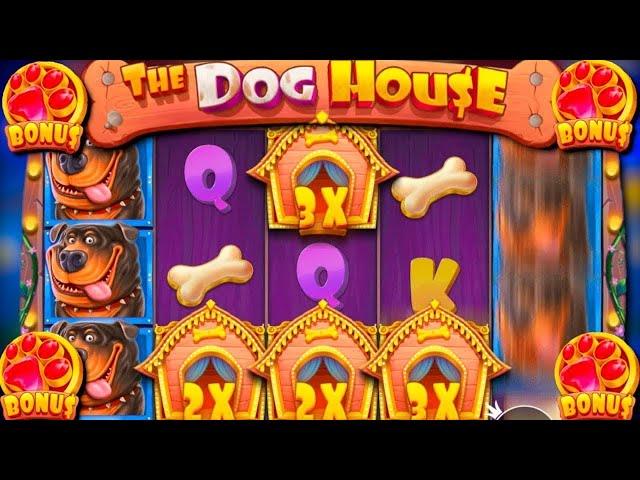 СЛОВИЛ БОНУС ПО 560Р И ЗАНЕС ******Р В DOG HOUSE | СЫГРАЛИ СИНИЕ СОБАКИ