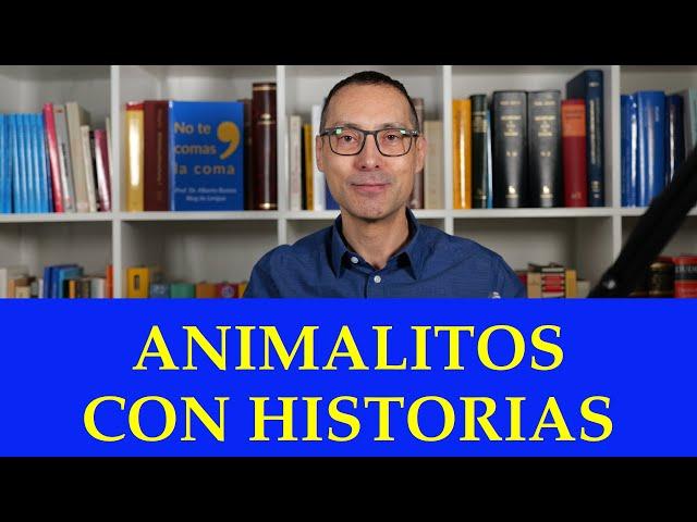 Animalitos con historias